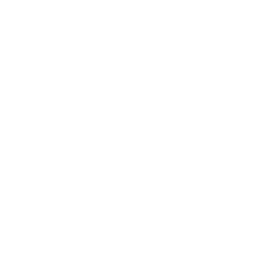 cybersecurity