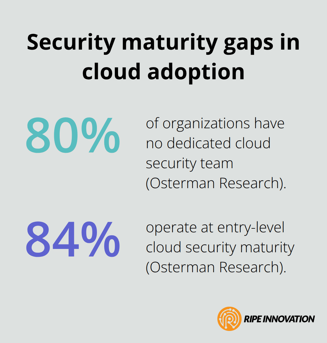 Visual showing that 80% have no dedicated cloud security team and 84% operate at entry-level maturity - cloud vulnerability assessments